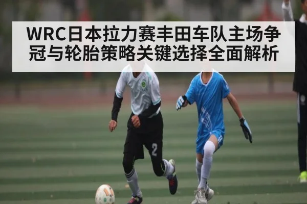 WRC日本拉力赛丰田车队主场争冠与轮胎策略关键选择全面解析